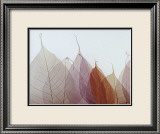Cabernet Posters par Durwood Zedd