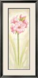 Pleasure Poster av Angela Bionda