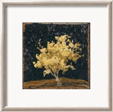 Jap Maple XIII Prints by Lorraine Roy