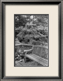 Garden Respite I Poster par Laura Denardo