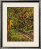 The Garden of Saint-Paul Hospital Lámina por Vincent van Gogh