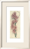 Orchid with Branch Prints by Julie Nightingale