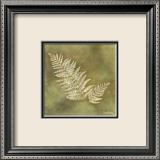 Organic Fern Plakat av Alexandra Bex