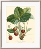 Strawberries Art by Bessa 