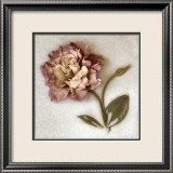 Sand Lisianthus Affiches par Donna Geissler