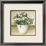 White Jasmine Arte por Galley