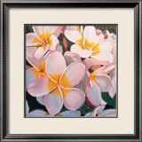 Frangipani Delight Kunst av John Birch Frangipani Delight Kunst av John Birch