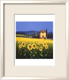 Goldene Wärme Kunstdruck von David Short