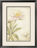 Pivoine I Affiches par Meg Page