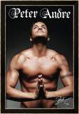 Peter Andre Posters