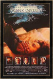 Frankenstein de Mary Shelley Póster
