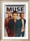 Muse Posters