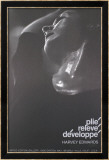 Plie Affiches par Harvey Edwards