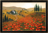 Hills of Tuscany II Affiches par Steve Wynne