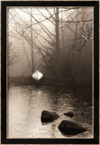 Silvered Morning Pond Poster von Heather Ross