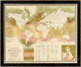 Marine life, c.1854 Framed Giclee Print by Edward Forbes