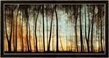 Golden Forest Poster von Carolyn Reynolds