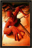 Spiderman Pósters