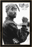 Tupac Lámina Tupac Lámina