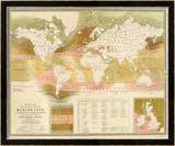 Marine life, c.1854 Framed Giclee Print by Edward Forbes
