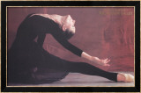 Black Swan Art par Harvey Edwards