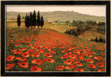 Hills of Tuscany I Affiche par Steve Wynne