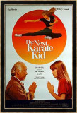The Next Karate Kid Posters