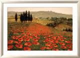Hills of Tuscany I Affiches par Steve Wynne