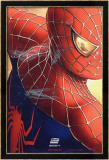Spider-Man 2 (Spiderman 2) Póster