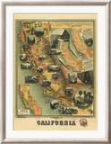 The Unique Map of California, c.1885 Framed Giclee Print by E. M. Johnstone