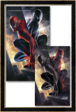 Spiderman 3 Pósters