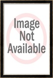 Yellow Submarine Posters
