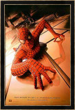 Spiderman Lámina