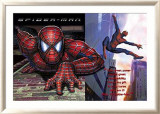 Spiderman Póster