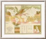 Marine life, c.1854 Framed Giclee Print by Edward Forbes