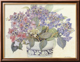 Lace Cap Hydrangeas Posters by Barbara Van Winkelen