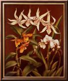 Trío de orquídeas I Lámina por Rodolfo Jimenez Trío de orquídeas I Lámina por Rodolfo Jimenez