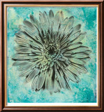 Evoke IV Reproduction encadrée édition limitée par Sara Abbott