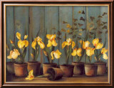 Iris Jaunes Affiches par Fabrice De Villeneuve