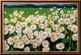I Love Daisies Prints by Liliane Fournier