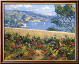 Geraniums at Villefranche Kunst av Pierre Bittar Geraniums at Villefranche Kunst av Pierre Bittar