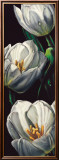 Dewdrop Tulips Posters by Alma'ch 