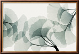 Ginkgo Dance Póster por Steven N. Meyers Ginkgo Dance Póster por Steven N. Meyers
