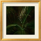 Exotische Passage Poster von Verdi 