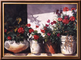 Pots of Geraniums Kunst av Lois Brezinski