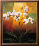 Orchidées Art par Jill Deveraux