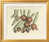 Botanisches Schaubild I Kunst von Van Rheet 