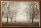 Layers of Trees II Print van Igor Svibilsky