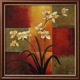 Orchidée blanche Posters par Jill Deveraux