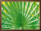 Feuille de palmier Poster par Jan Lens